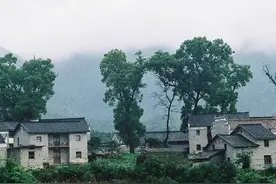 俗语“不怕蛇进家门，就怕香椿高过房”，为啥怕树不怕蛇？图片