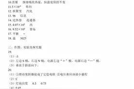2020年云南省中考（初中学业水平考试）物理试卷参考答案图片