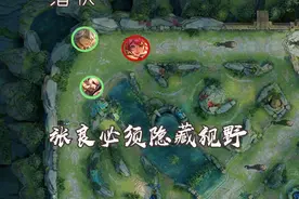 从中路变成游走，张良打辅助真的合适吗？这篇文章能提升你的意识图片