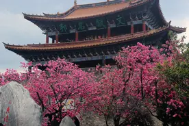 那些深陷直销行业的人们都过得咋样了？图片