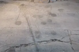 骑行320国道42-关岭化石群图片