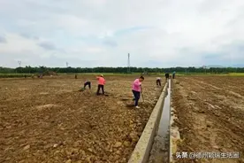 德州拆旧复垦复耕实施方案，涉及德州5县11乡镇17个村庄图片