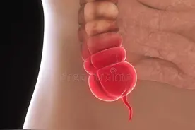 科学家发现：人类进化过程中出现了5处不完美的地方！所以要注意图片