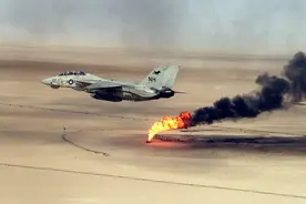 击落美国海军那架F-14图片