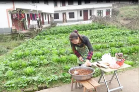 手把手教你制作四川豆豉，方法简单口味独特，一学就会