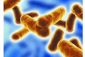 世界十大最毒东西排行榜 蛇毒仅列第六，第一毒性可怕图片