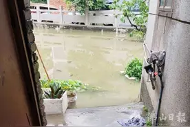 险！8岁女孩捡鞋摔进池塘。幸！驻村支部书记及时下水救回图片