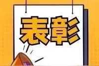 这项工作拟表彰！博罗这些单位和个人上榜图片