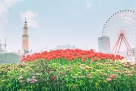 免票！降价！长沙这些景区有优惠！图片