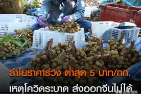 疫情影响泰国龙眼出口 价格低至每公斤5铢图片