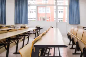 解读！天府新区公布最新小学划片范围，其中4个学区进行了细化图片