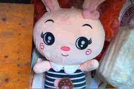 安徽10岁女孩被害：还来不及展开的人生图片