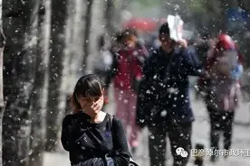 满城杨树毛毛怎么治？临河出动了“神器”…图片