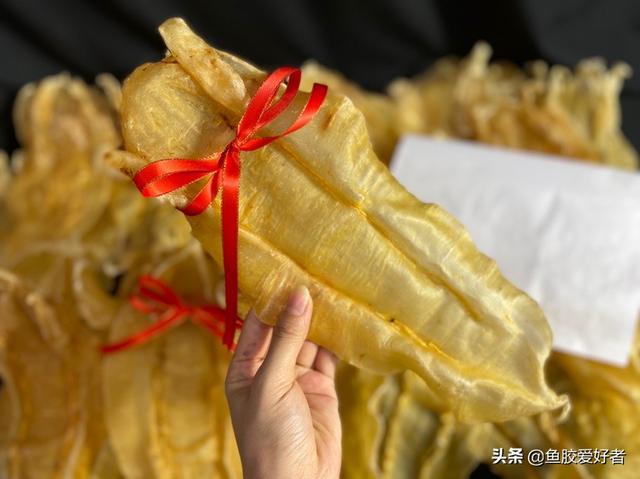 北海鱼胶的营养价值及功效 2026年北海鱼胶的功效及吃法