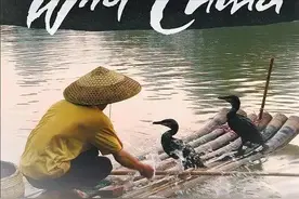 适合3岁以上娃看的10部优质纪录片，豆瓣评价高分，寒假别错过图片