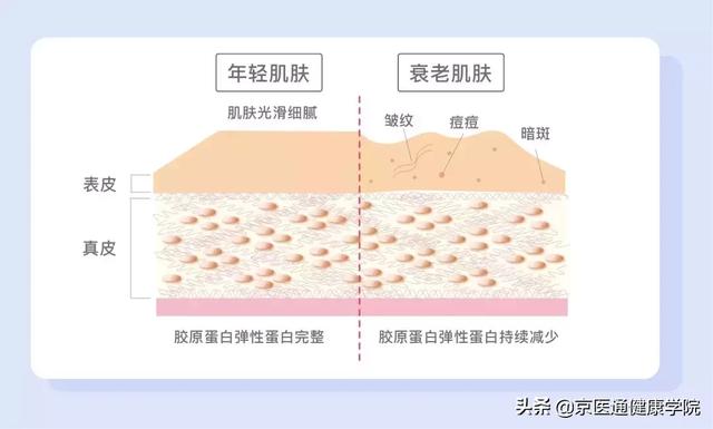 胶原蛋白粉是什么做的 2026年胶原蛋白粉是干什么用的 胶原蛋白粉是什么做的 2026年胶原蛋白粉是干什么用的