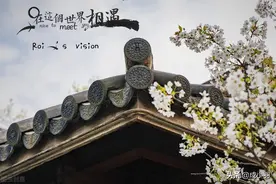 如果，曾要你半条命的人，回来找你了图片