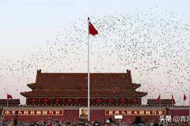 国庆丨升国旗图片