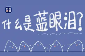 什么是蓝眼泪？图片