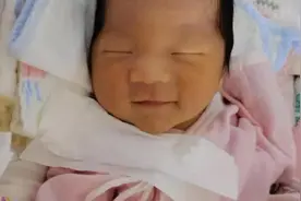 干货！新生儿《出生医学证明》办理指南图片