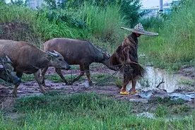 四川农民河边放牛，意外发现1吨废铁，专家鉴定后：这是重要文物图片