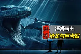 中生代和新生代的海洋霸主，究竟是哪个比较生猛，沧龙PK巨齿鲨图片