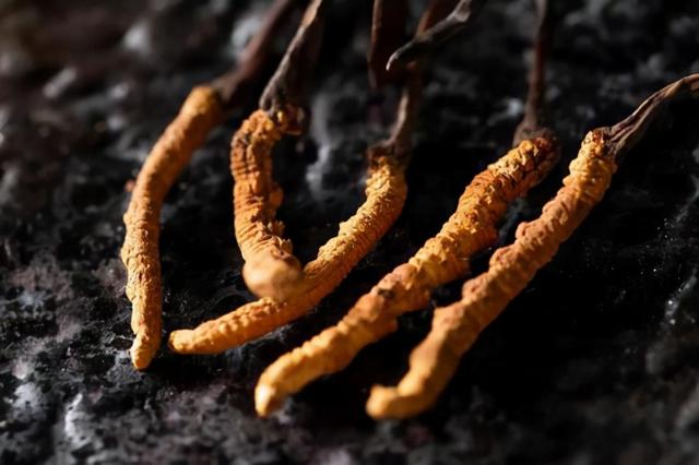 脑梗的人可以吃花胶吗 2026年脑梗患者可以吃花胶吗