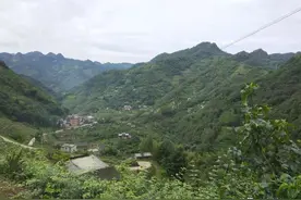 村民组长60岁有没有“补贴”？图片