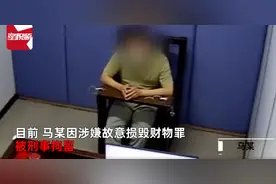 不牵绳狗被撞死，狗主人怀恨在心蹲点报复：划车戳破宝马4个胎图片