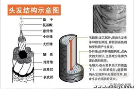[染发资料] 比较全面的染发理论知识图片