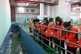 污水是怎样变成清水的？污水从哪里来又到哪里去？这里有答案图片