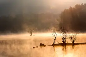 再见秋天(当代诗歌)图片