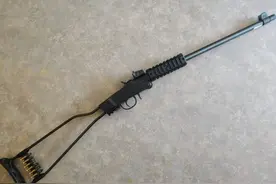 美国能买到的最便宜步枪是哪种？简陋到无以复加，但功能齐全图片