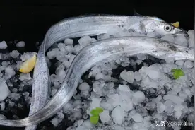 同样是带鱼，为何价格相差好几倍？让老渔民告诉你，究竟差在哪里图片
