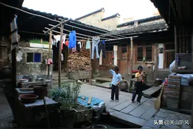 农村老话：“院中五谷虫，子孙辈辈穷”，五谷虫指的是什么呢？图片