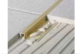 金属条美缝火了，连国际名模刘雯都在用，打造“廉价”的高级感图片