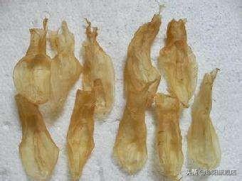 花胶肚怎么保管 2025年花胶肚怎么吃