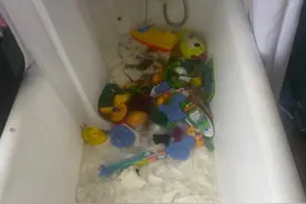 英国熊孩子发现妈妈囤了18卷厕纸，几分钟后来到浴室的妈妈惊呆了图片