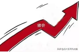 节前最后三天，生猪价格开启了“报复性”上涨，附2月8号猪价表图片