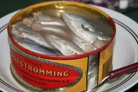 为什么鲱鱼罐头这么难吃，每年还是要大量生产？图片