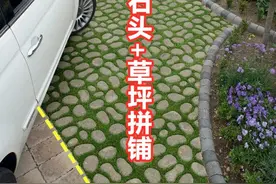 小院地面不打水泥、不铺砖，石头+草坪组合拼铺，不花钱效果完胜图片