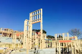 木工们，你们是新西兰建筑业最缺的人图片