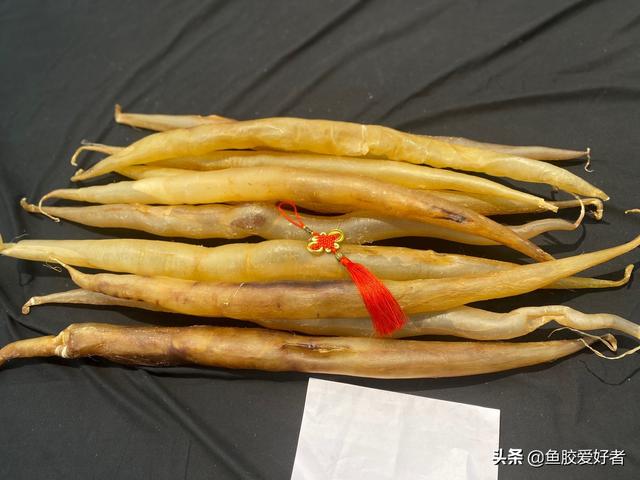 老的花胶有霉味吗 2026年花胶放久了有霉味