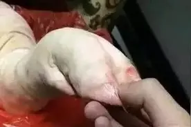 爆笑：无所谓，我让你憔悴图片