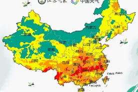 知道蚊子为什么喜欢吸你的血吗？那可能是因为你太甜了图片
