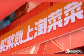 阿里“集权”做供给，淘菜菜能解决什么问题？图片