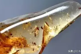 各产地的蜜蜡琥珀到底有啥区别？我反正看不出来图片