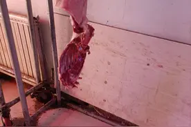 新疆市场上的牛羊肉价格下跌了，下一步价格走向分析图片