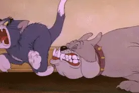 横扫美国的“万能元素”与超级爆款：镭图片