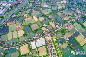 重磅！珠三角百万亩池塘升级改造绿色发展三年行动方案来了图片